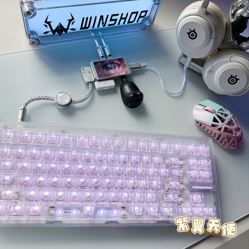 WINSHOP Esports HUB Dual-In 4- - Desk Setup Hub 评论和价格